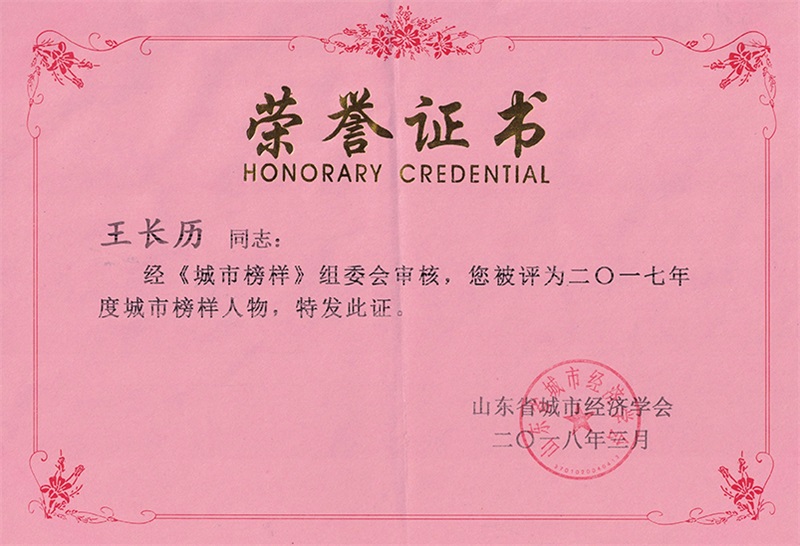 山東省城市榜樣--榮譽(yù)證書(shū)